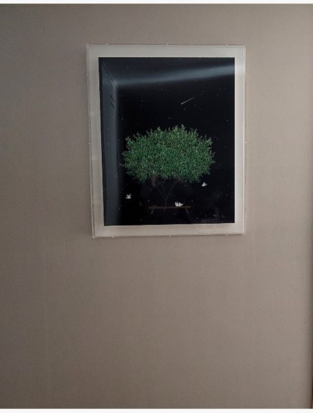 1640061635.jpg