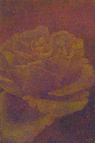 img02