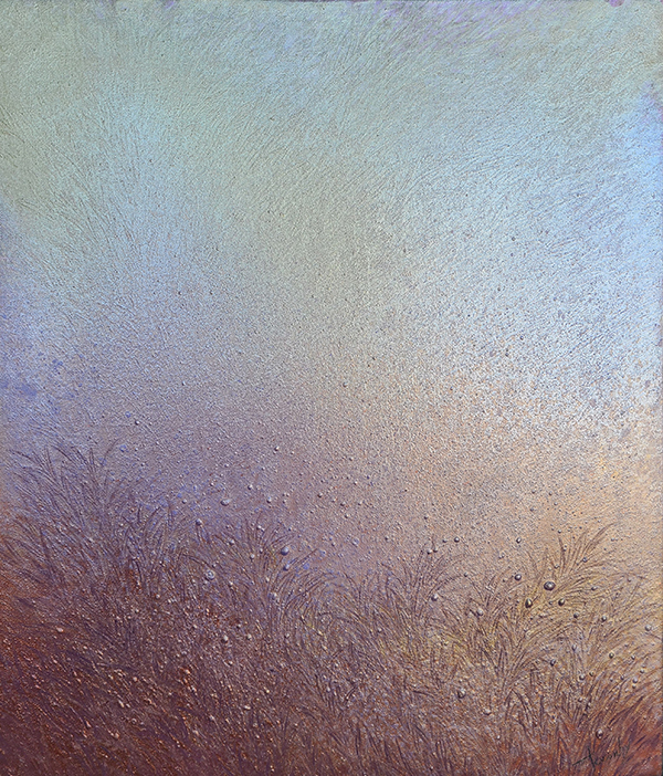 1595318486.jpg